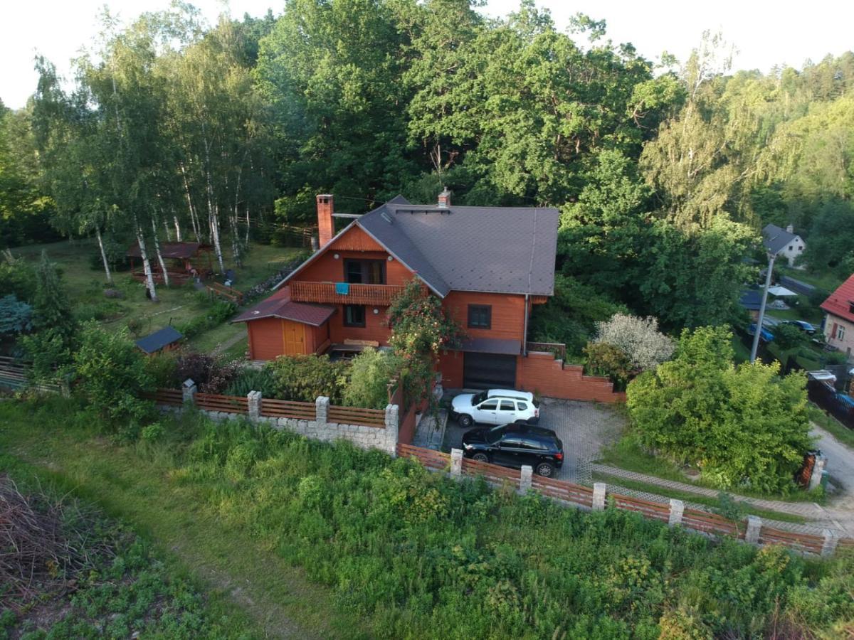Chata Gorska Sowa Dla 12 Osob, 4 Sypialnie,Salon Z Kominkiem Villa Podgórzyn Exterior foto