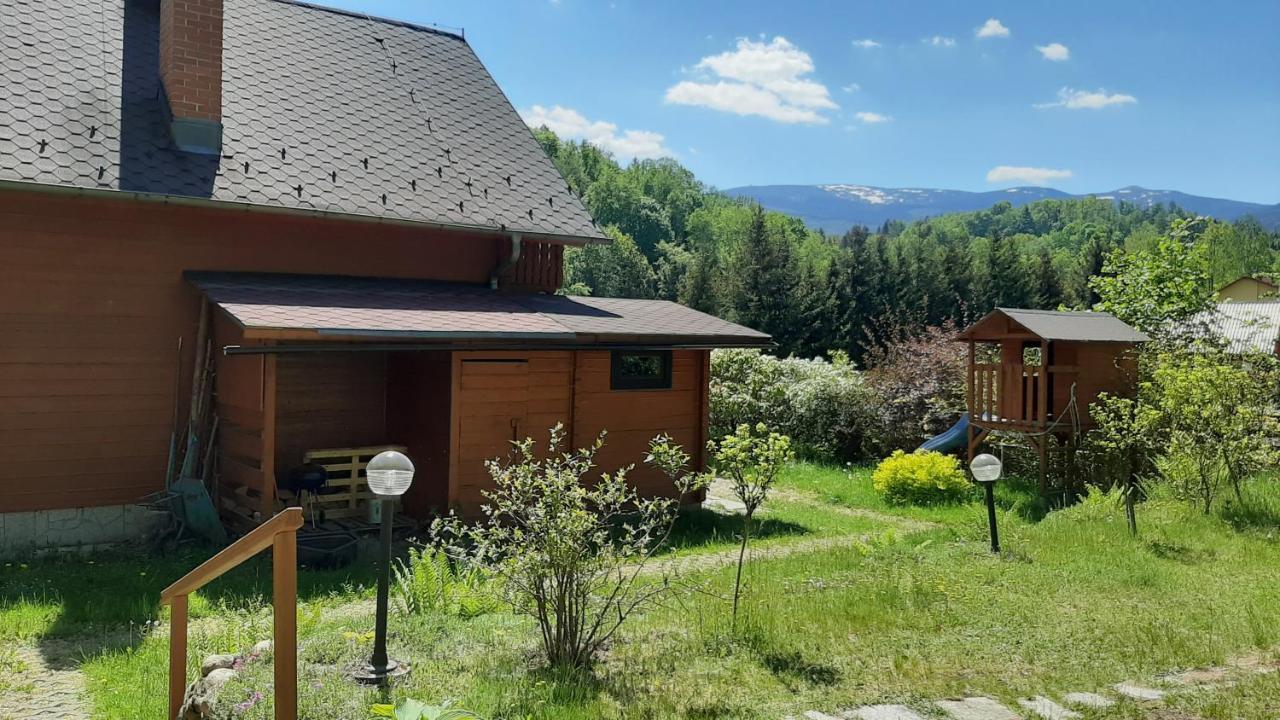 Chata Gorska Sowa Dla 12 Osob, 4 Sypialnie,Salon Z Kominkiem Villa Podgórzyn Exterior foto