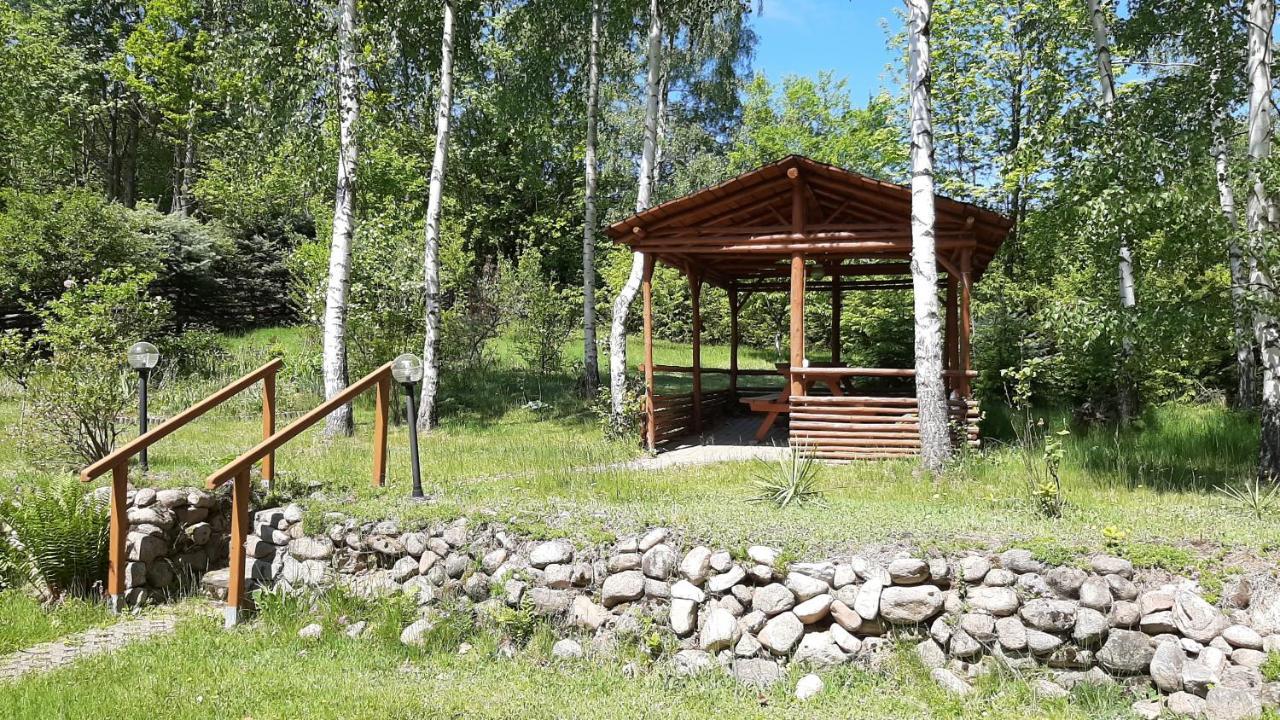 Chata Gorska Sowa Dla 12 Osob, 4 Sypialnie,Salon Z Kominkiem Villa Podgórzyn Exterior foto