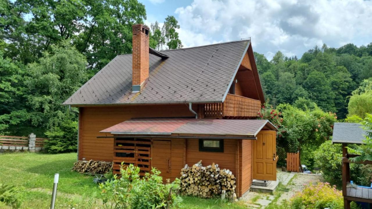 Chata Gorska Sowa Dla 12 Osob, 4 Sypialnie,Salon Z Kominkiem Villa Podgórzyn Exterior foto