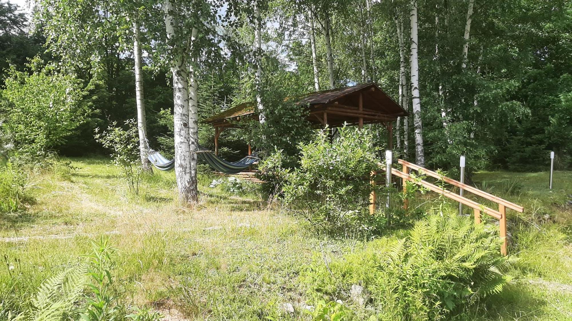 Chata Gorska Sowa Dla 12 Osob, 4 Sypialnie,Salon Z Kominkiem Villa Podgórzyn Exterior foto